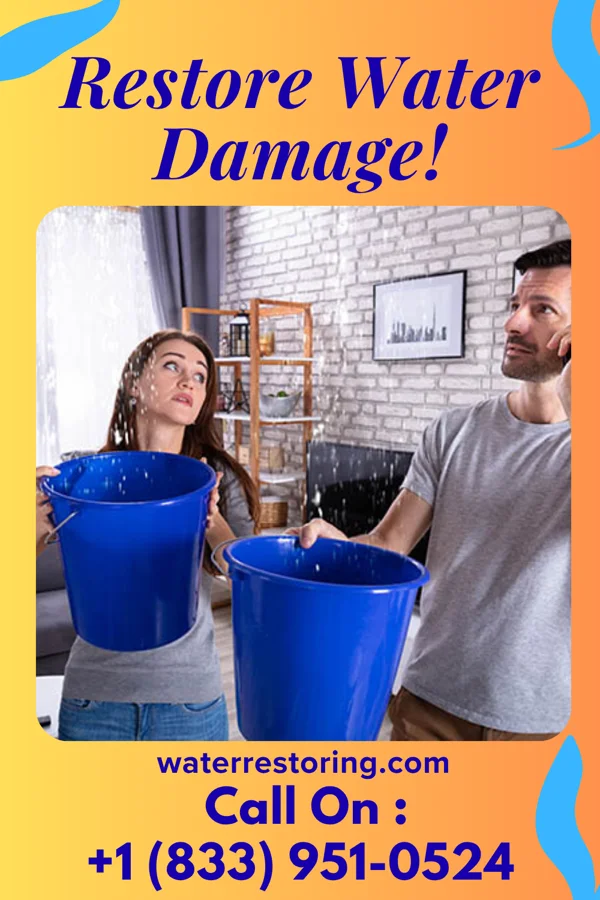 water restoration Eagle Sewage Cleanup LLC Vickery